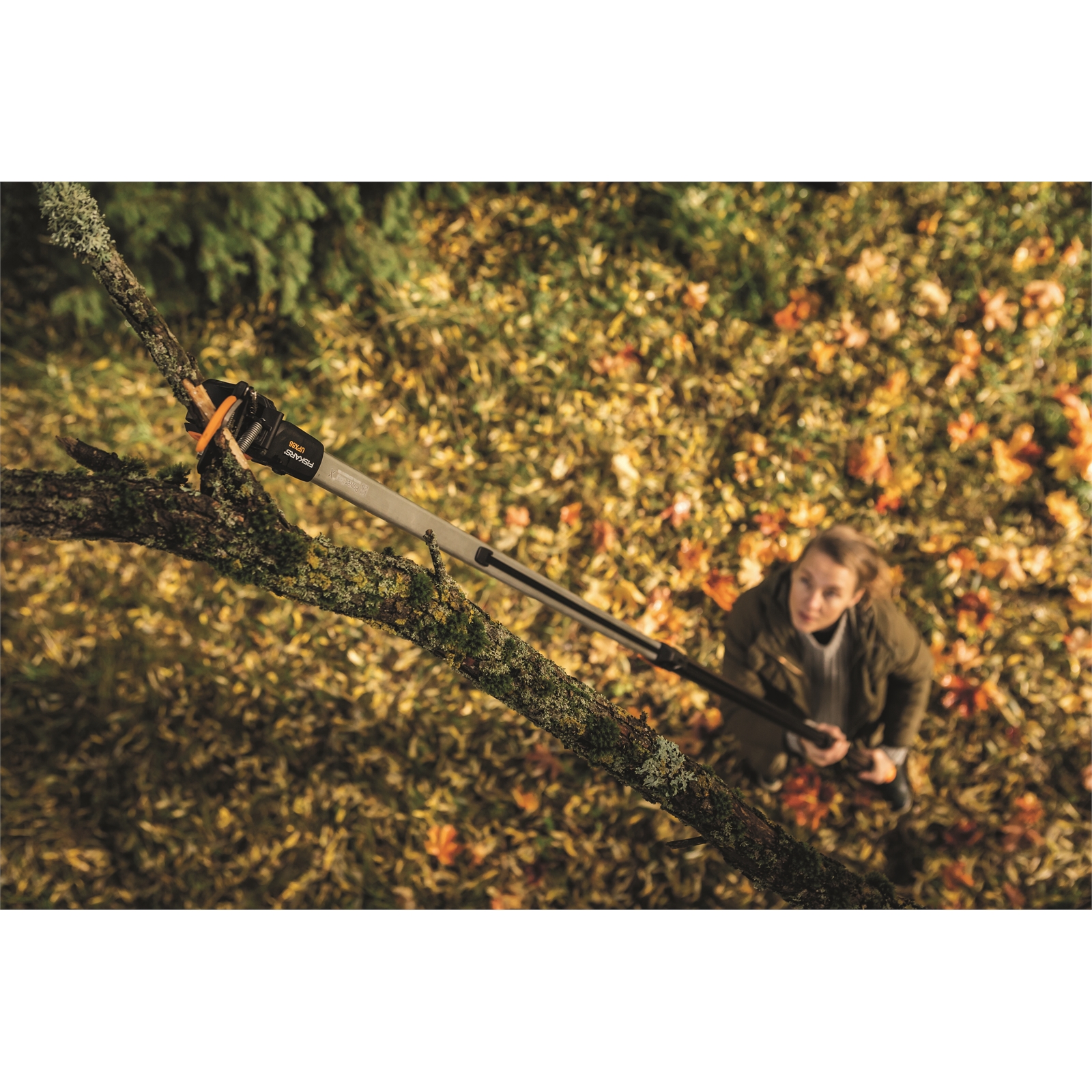 Fiskars 9656B16 Telescopic Garden Cutter (2.4 -4 m)