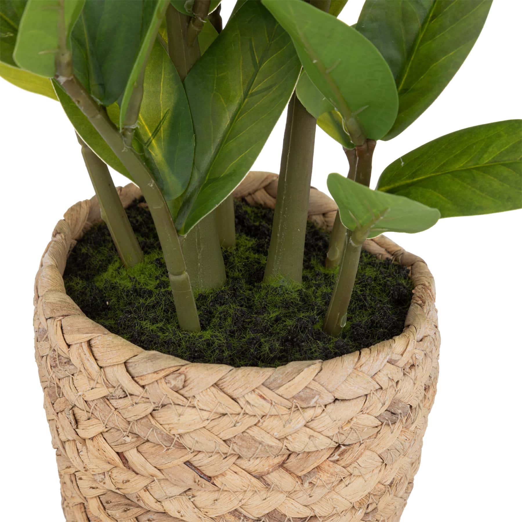 Artificial Plant W/Pot (25 x 41 cm)
