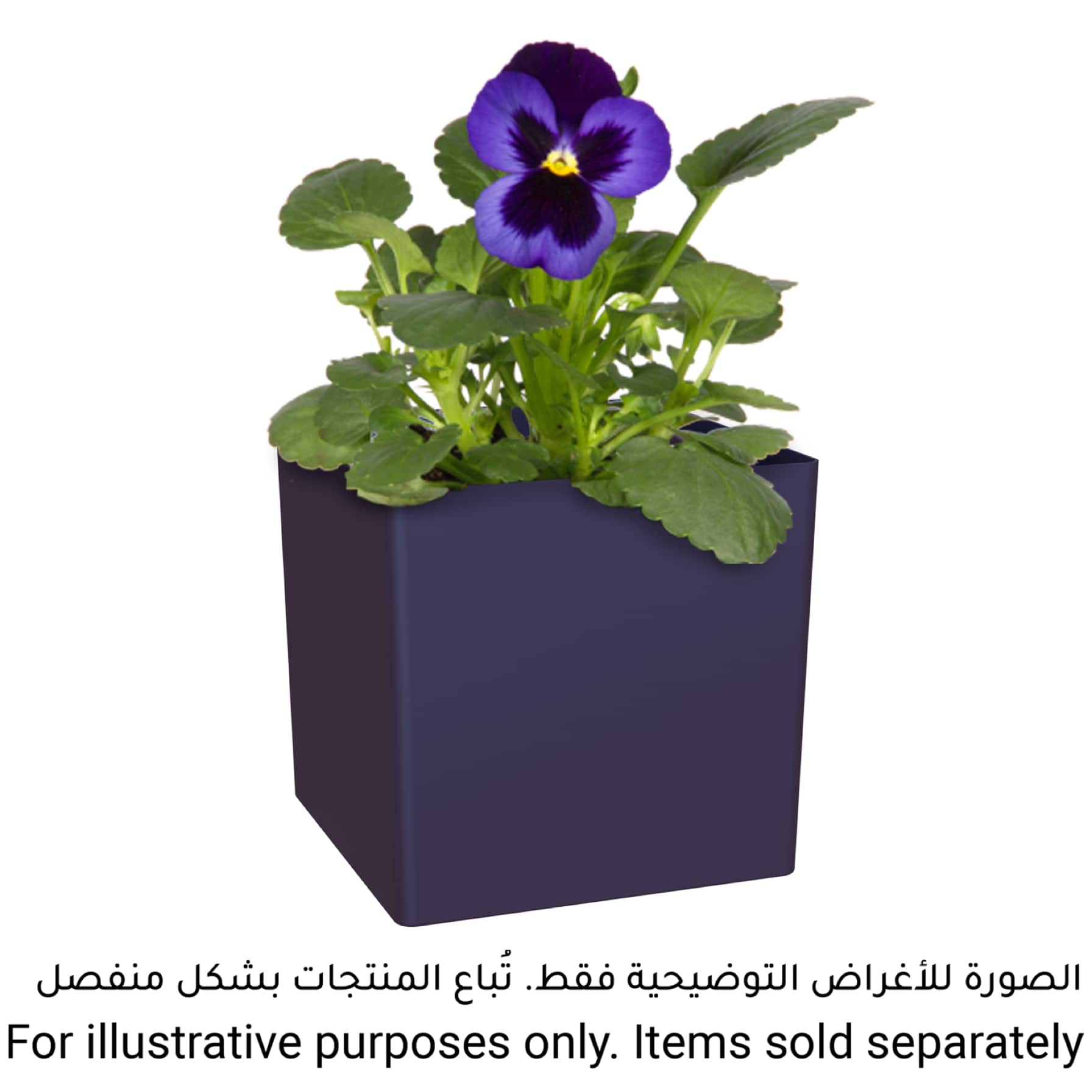 Artevasi Oslo Plant Pot (14 cm)