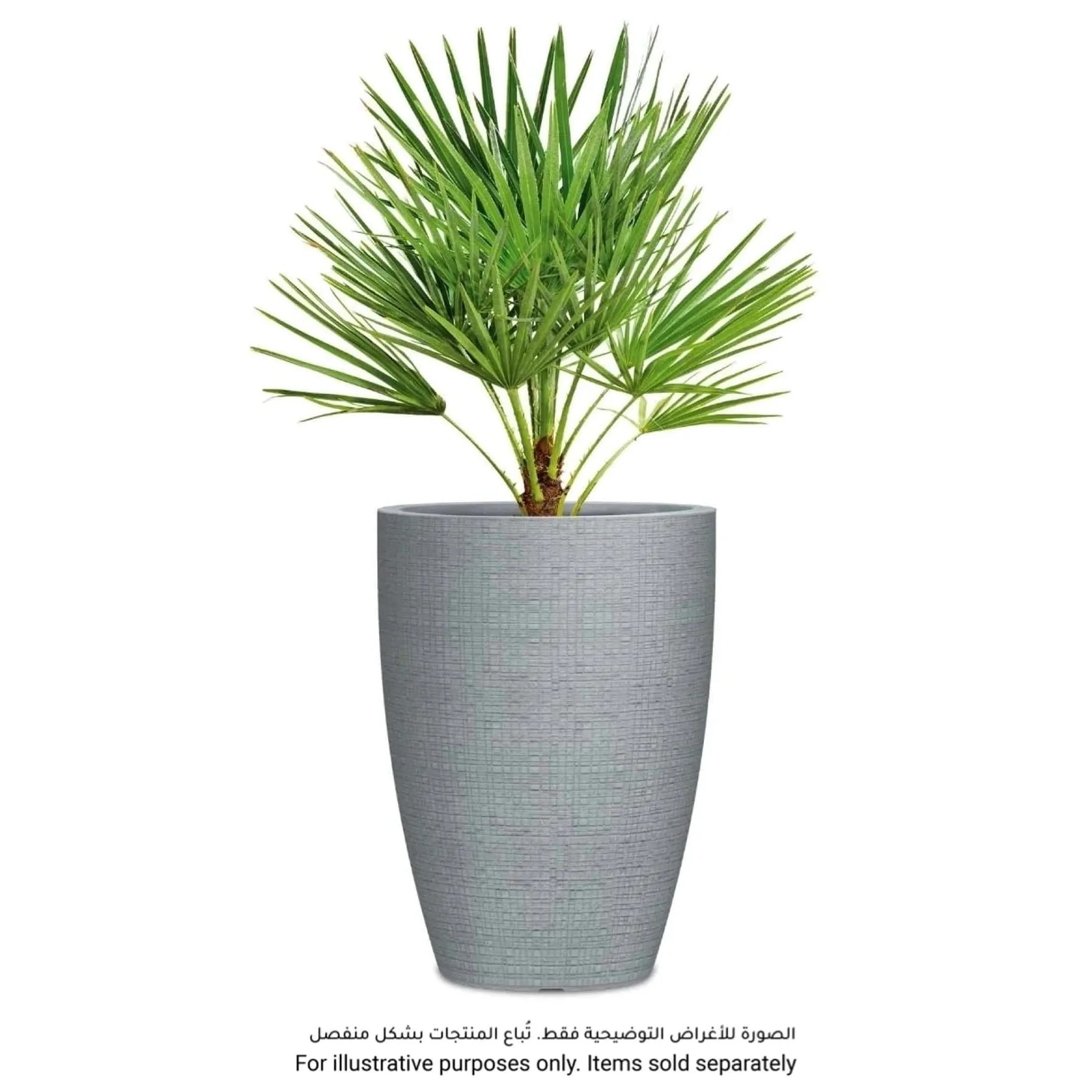 Scheurich Barceo High Plastic Plant Pot (39 x 54 cm, Gray)