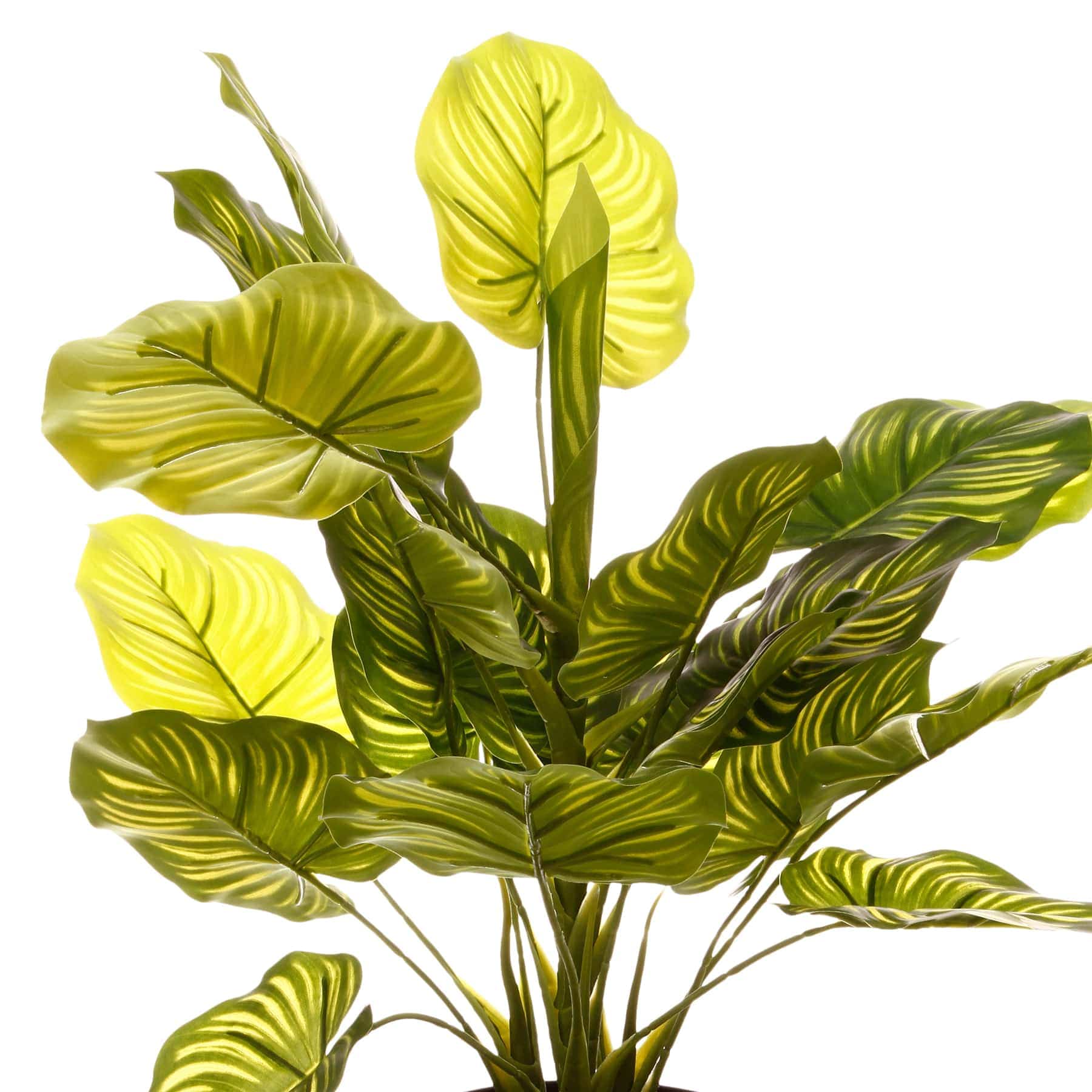Real Touch Artificial Plant W/Pot (45 x 40 x 45 cm)