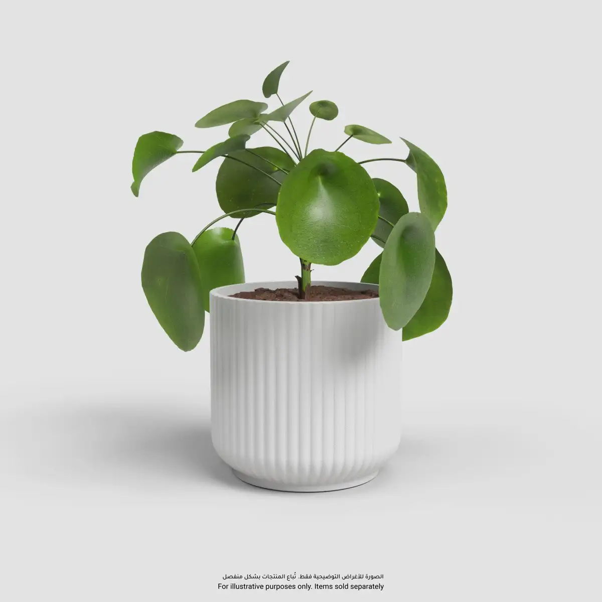 Artevasi Luna Plant Pot (White, 12 cm)