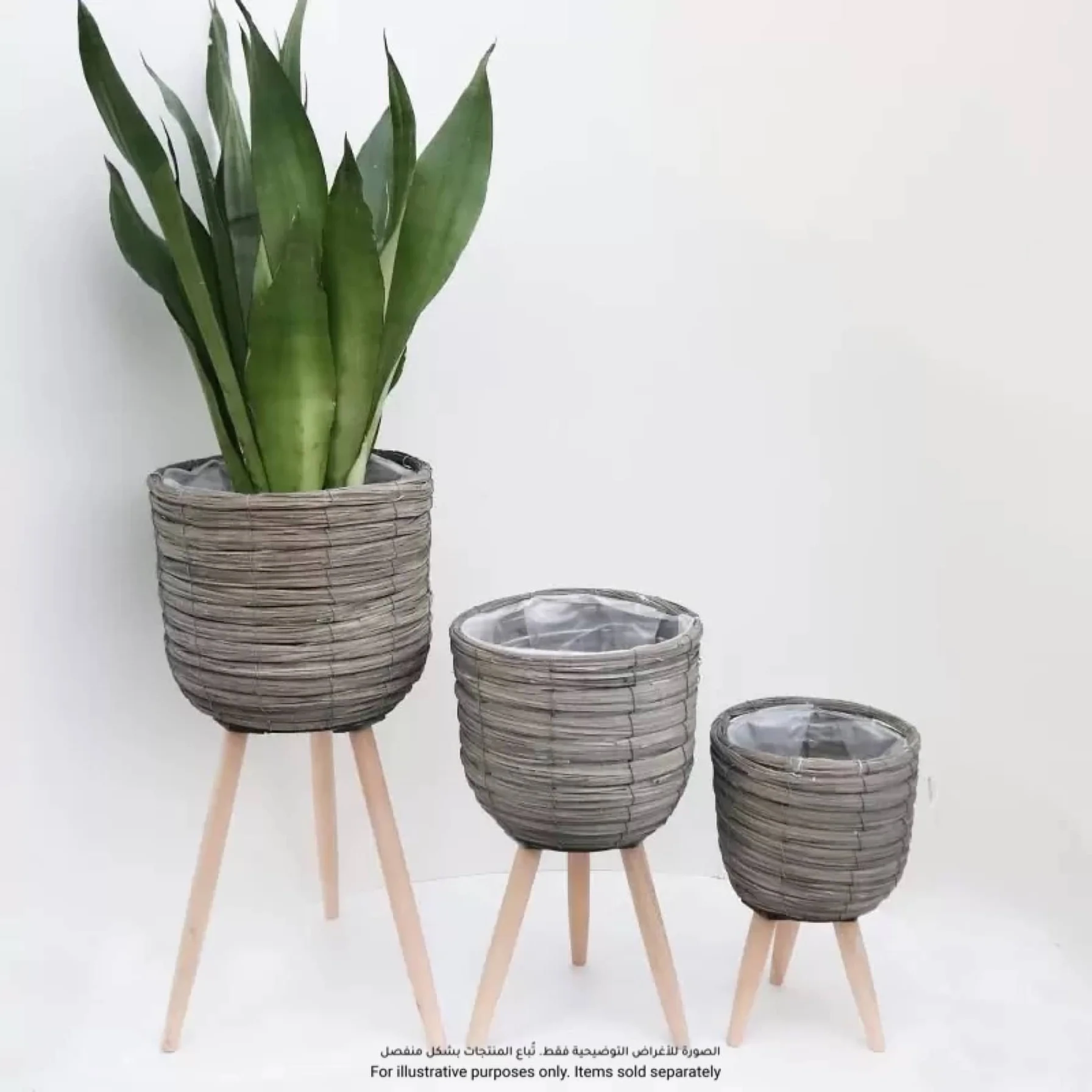 Loftier Egg Plant Pot W/Legs (31.5 x 60 cm, Natural)