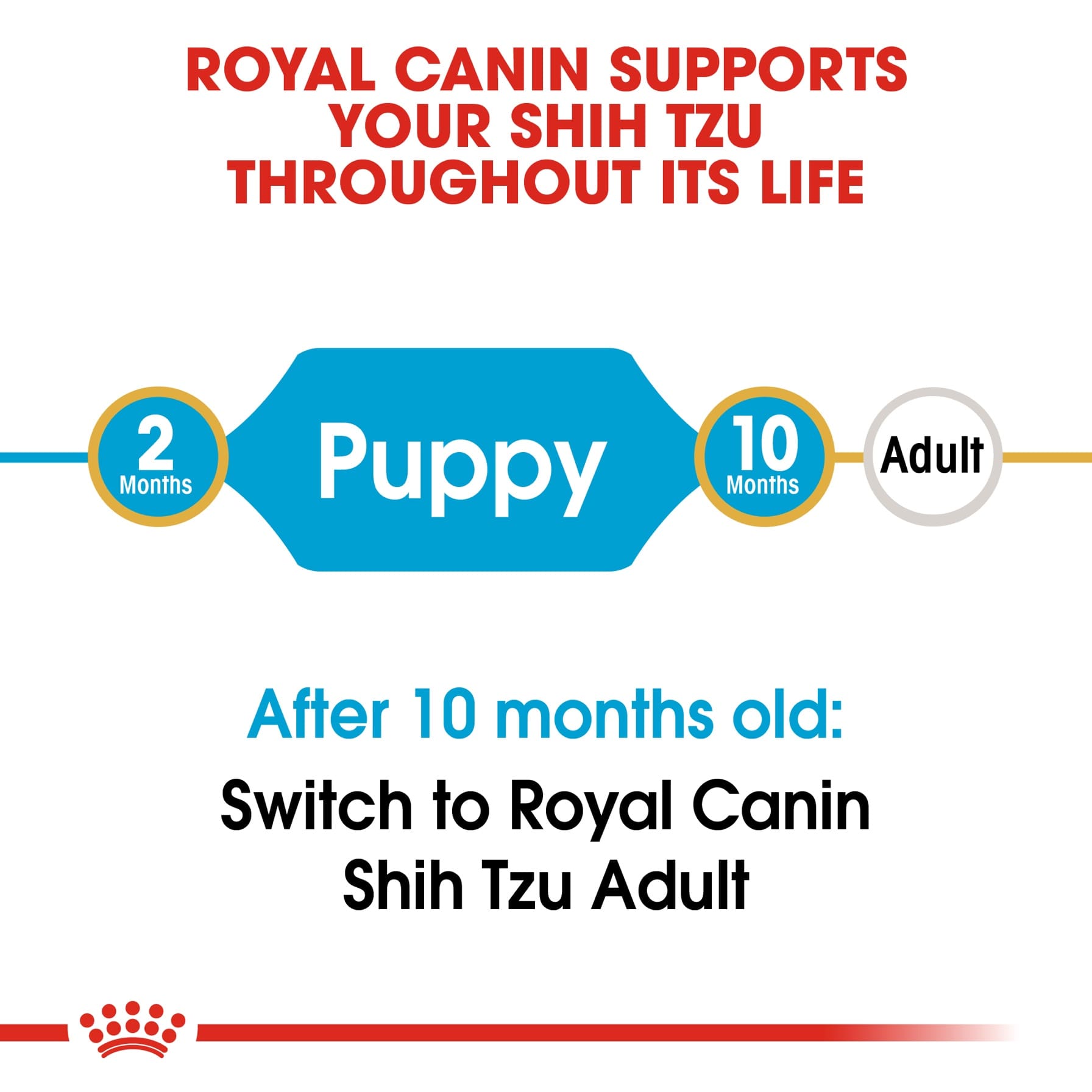 Royal Canin Shih-Tzu Junior Dry Dog Food (Puppy, 1.5 kg)