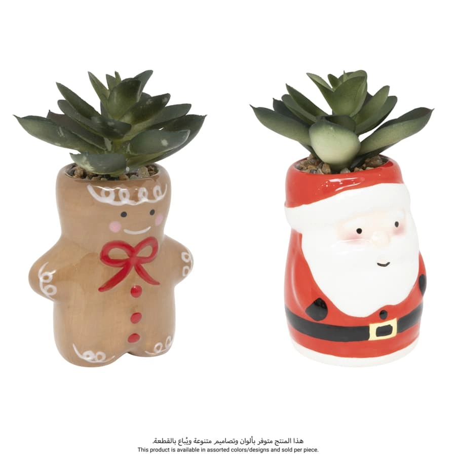Christmas Plat Pot (Assorted)