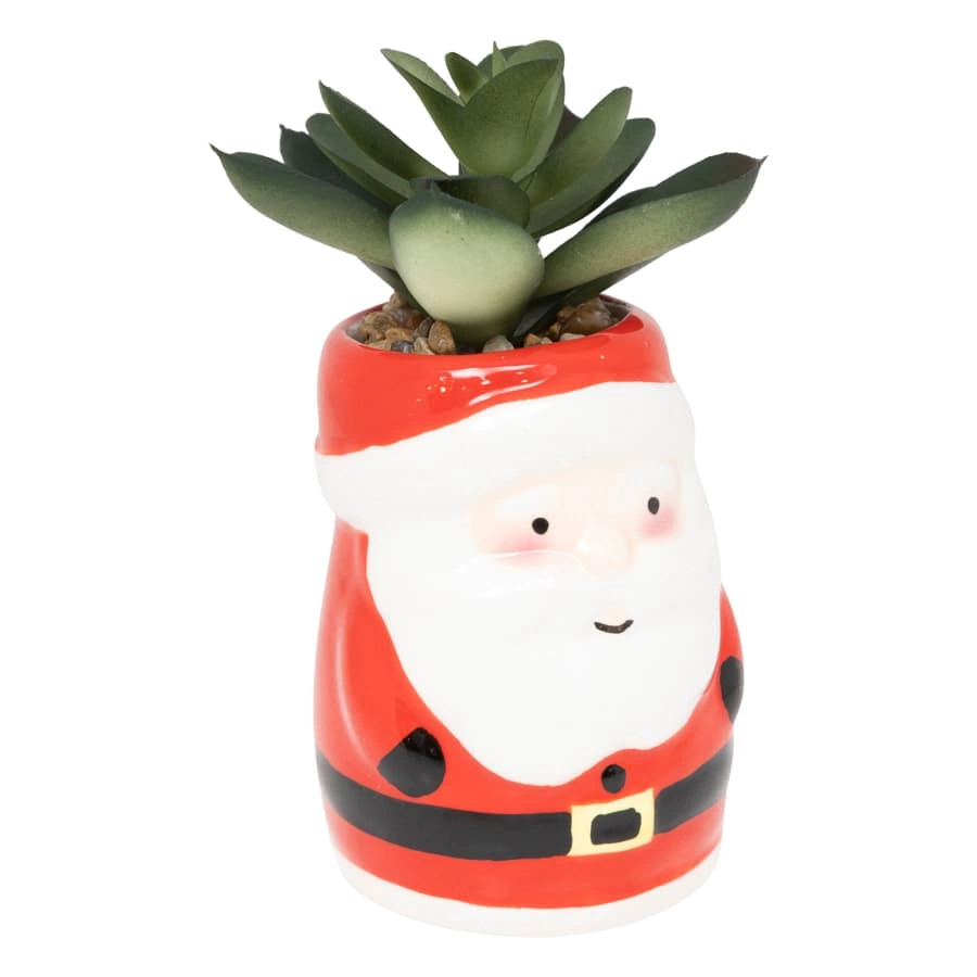Christmas Plat Pot (Assorted)