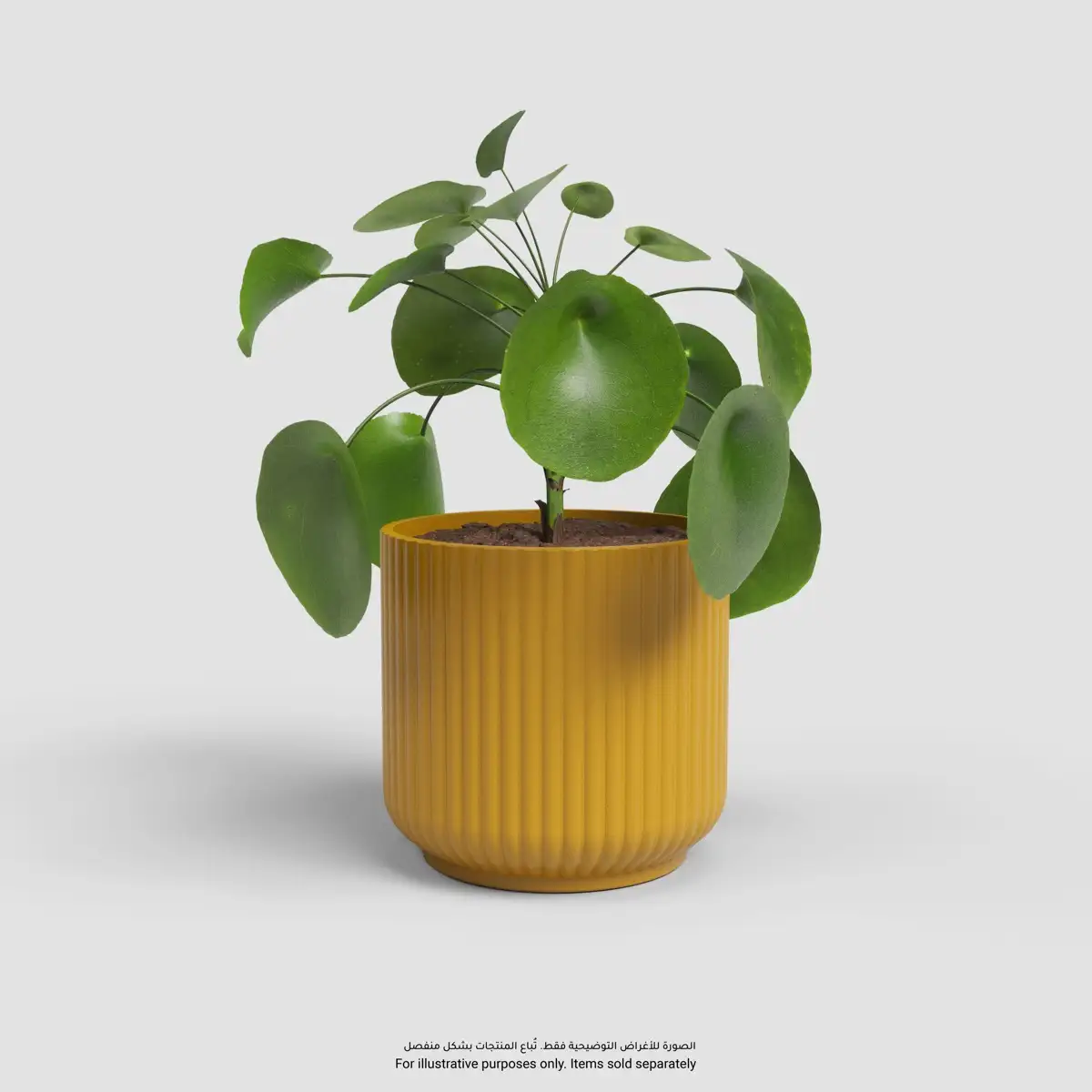 Artevasi Luna Plant Pot (Yellow, 19 cm)
