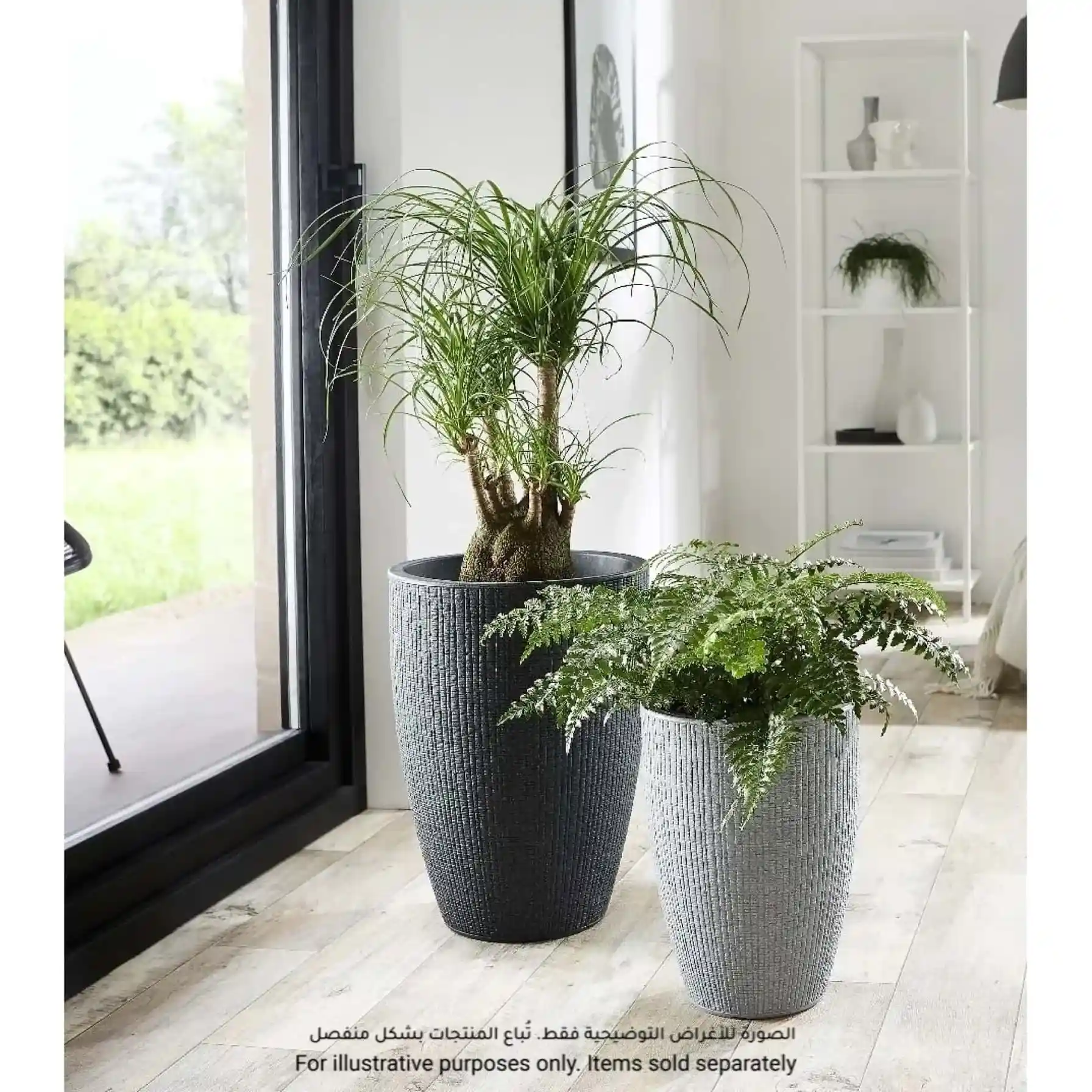 Scheurich Barceo High Plastic Plant Pot (29 x 40 cm, Anthracite)