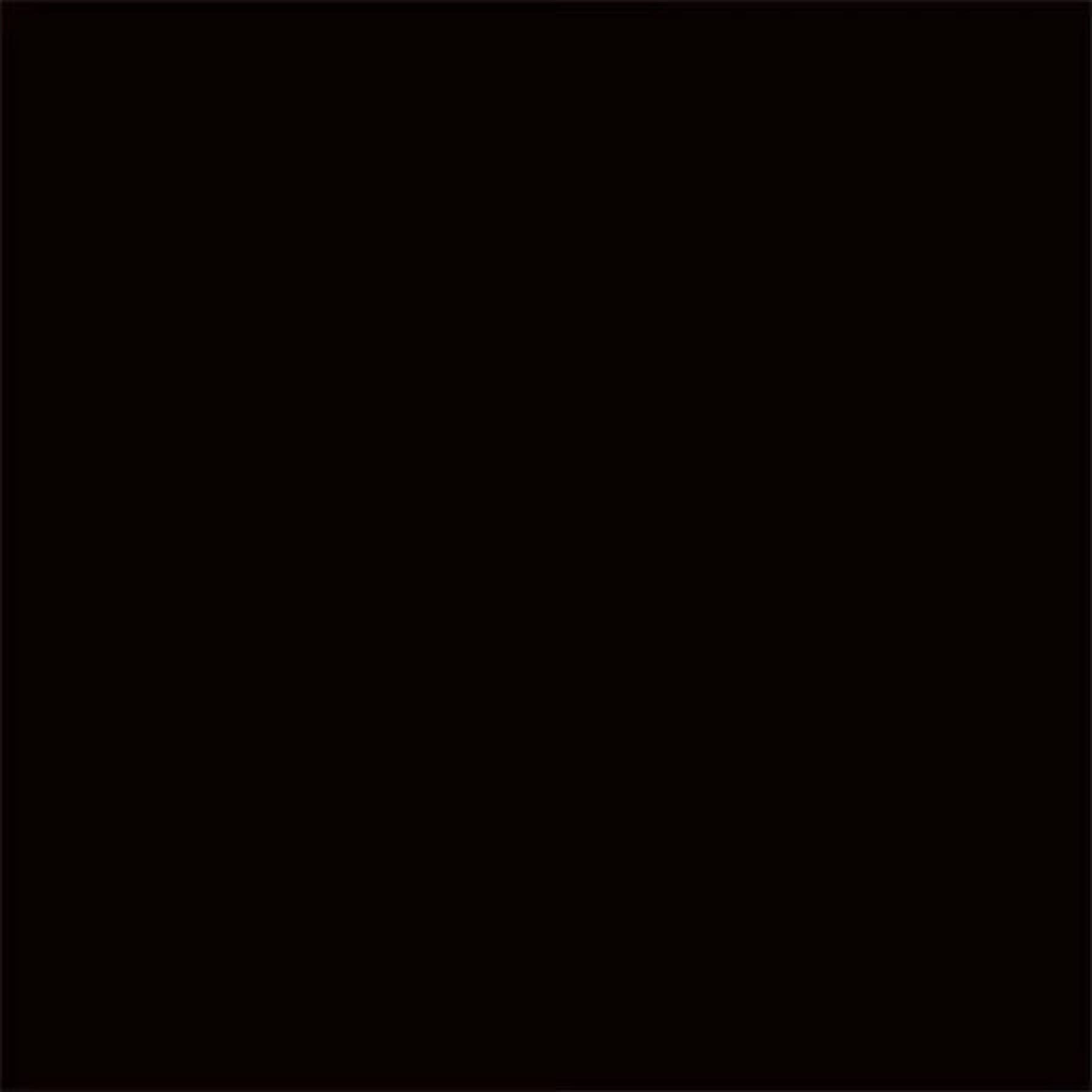 Rustoleum Painter's Touch Spray Paint (400 ml, Gloss Black)
