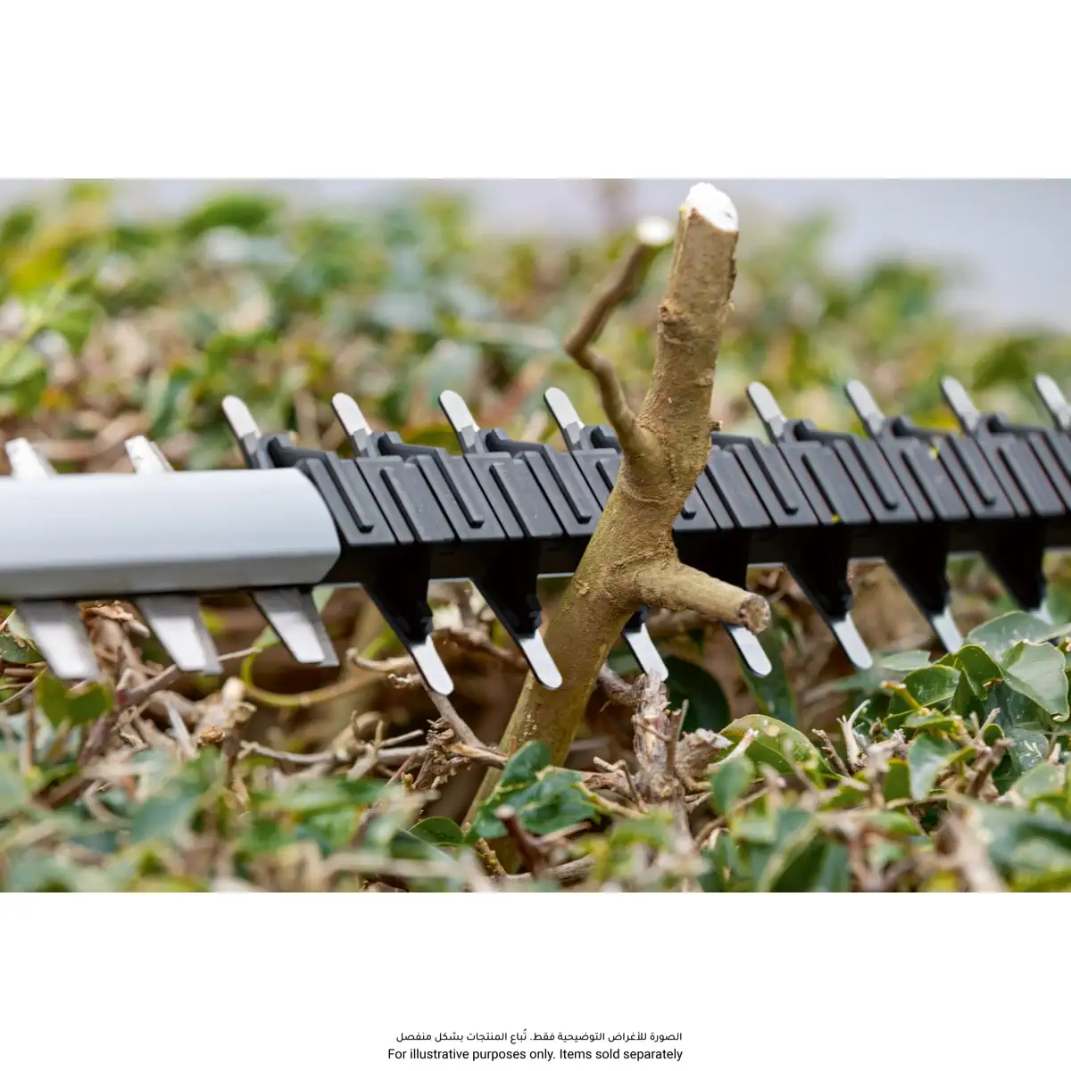 Bosch Professional Hedge Cutter W/Brushless Motor (18V-60)