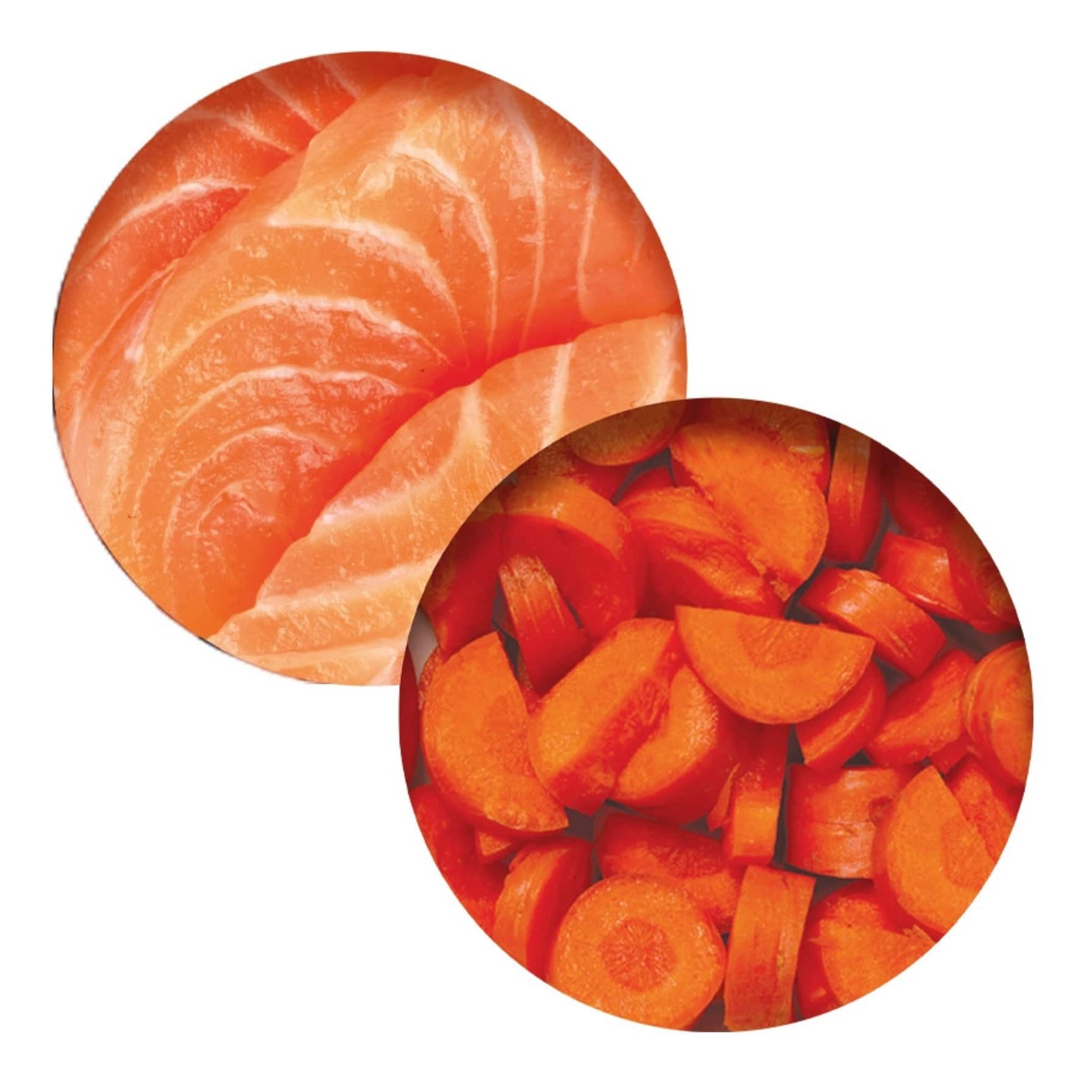 Catit Chicken Dinner (Salmon & Carrot, 80 g)